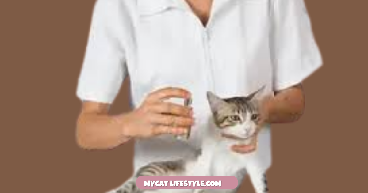 Can I Spray Perfume in the Same Room as My Cat?