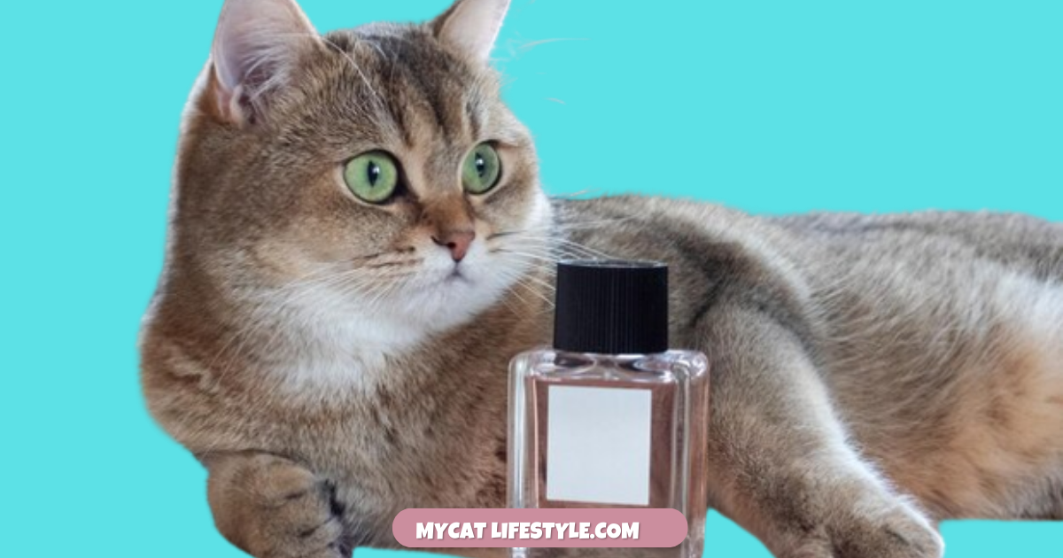 How can I keep my cat safe from perfume?