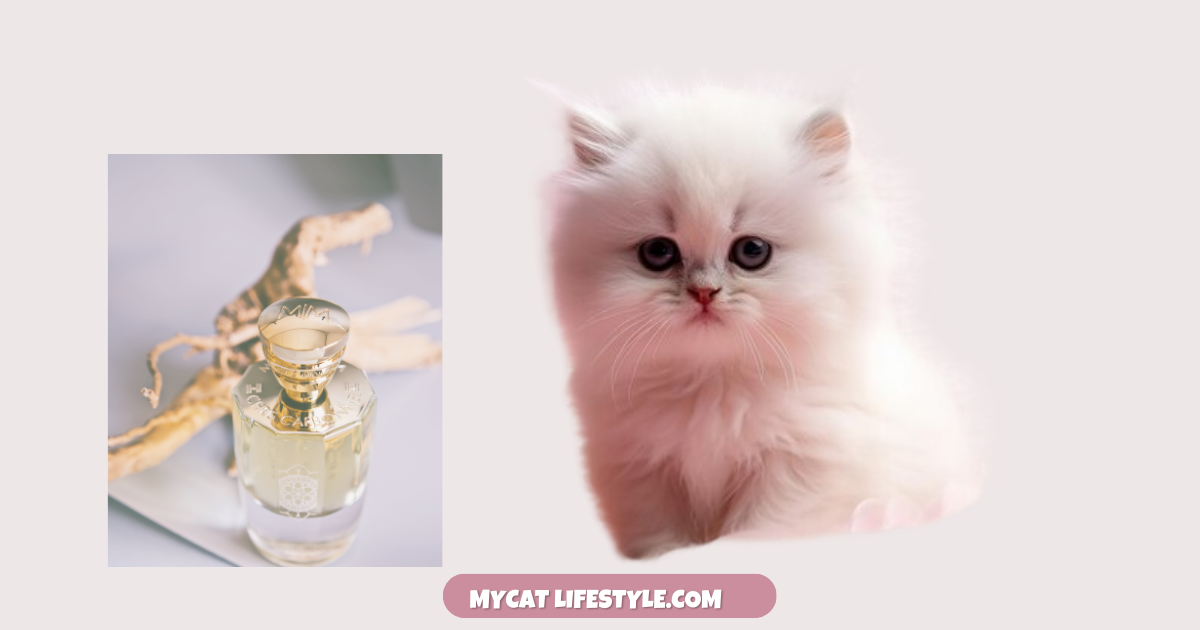 Which Perfume Is Safe For Cats