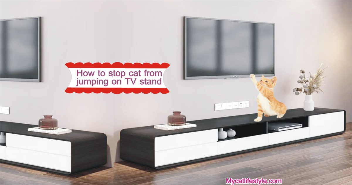 How do you stop a cat from jumping on a TV stand