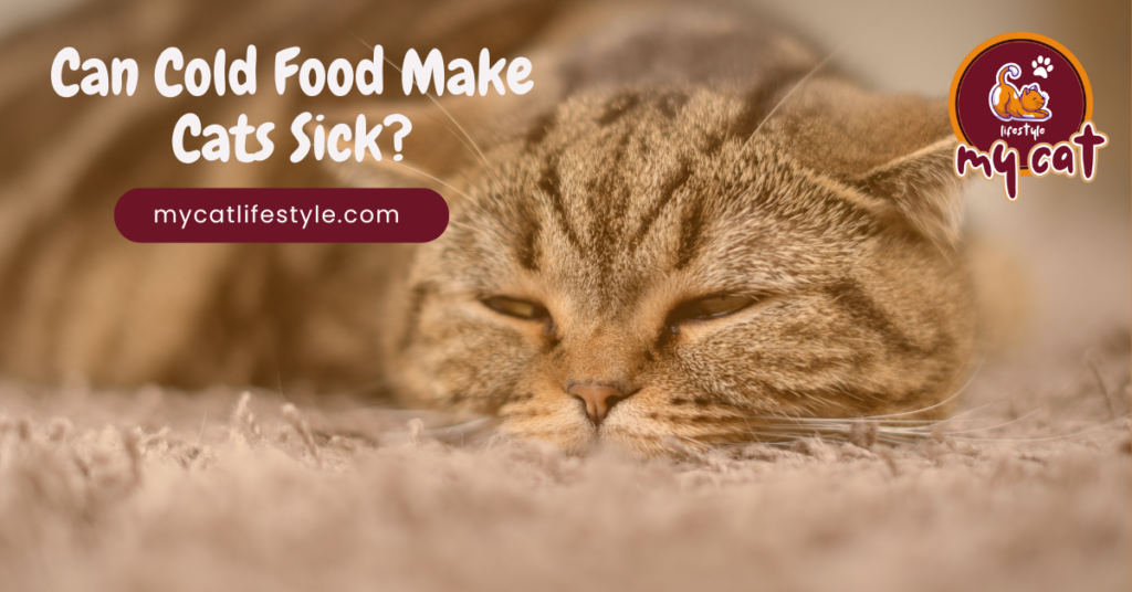 Can Cold Food Make Cats Sick