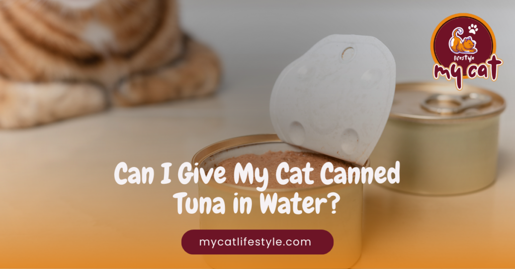 Can I give my cat canned tuna in water