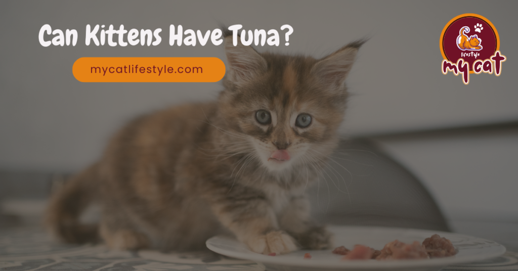 Can kittens have tuna