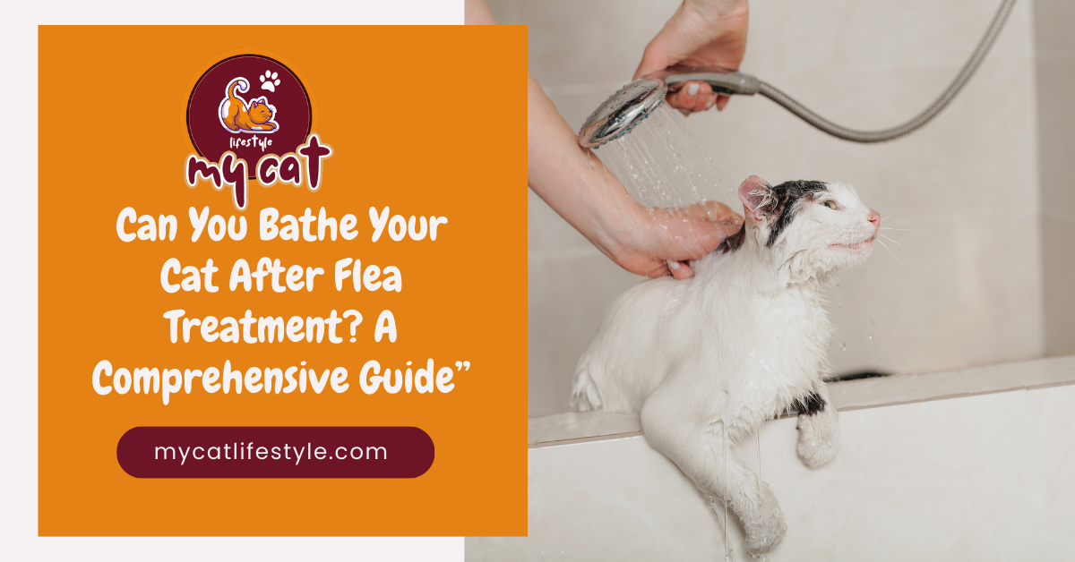 Can you bathe your cat after flea treatment