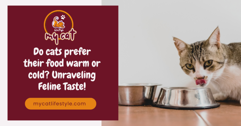 Do cats prefer their food warm or cold Unraveling Feline Taste!