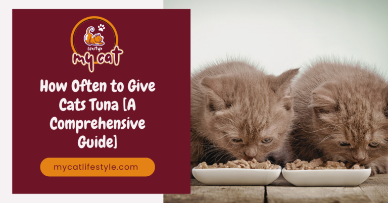 How often to give cats tuna