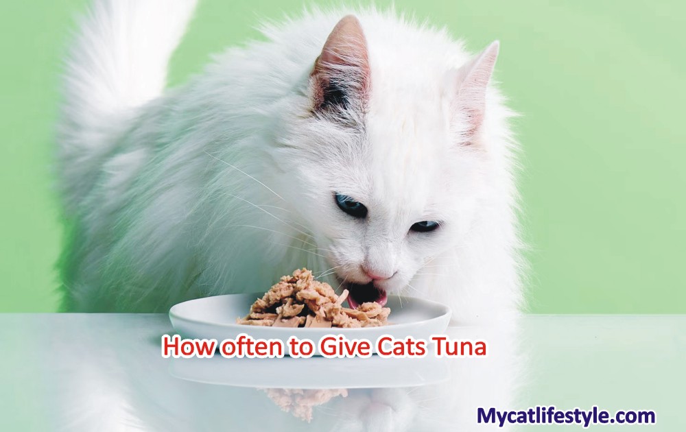 How often to give cats tuna