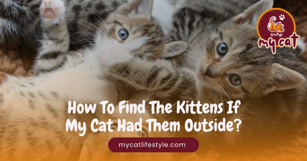 How to find the kittens