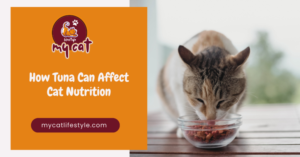 How tuna can affect cat nutrition