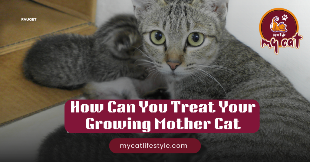 How Can You Treat Your Growling Mother Cat?