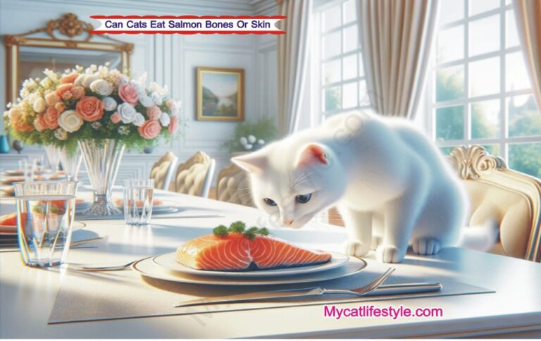 Can Cats Eat Salmon Bones? (Or Skin) Health Guideline & Important Facts