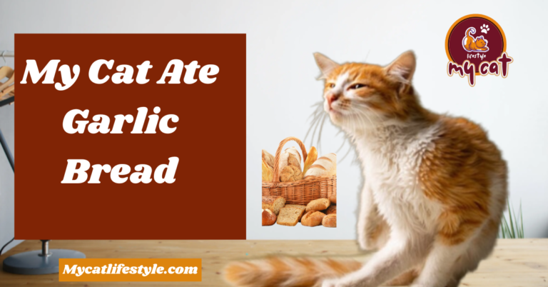 My Cat Ate My Garlic Bread: What Every Pet Owner Must Do Immediately